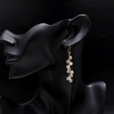 925 Sterling Silver Crystal Beaded Dangle Earrings